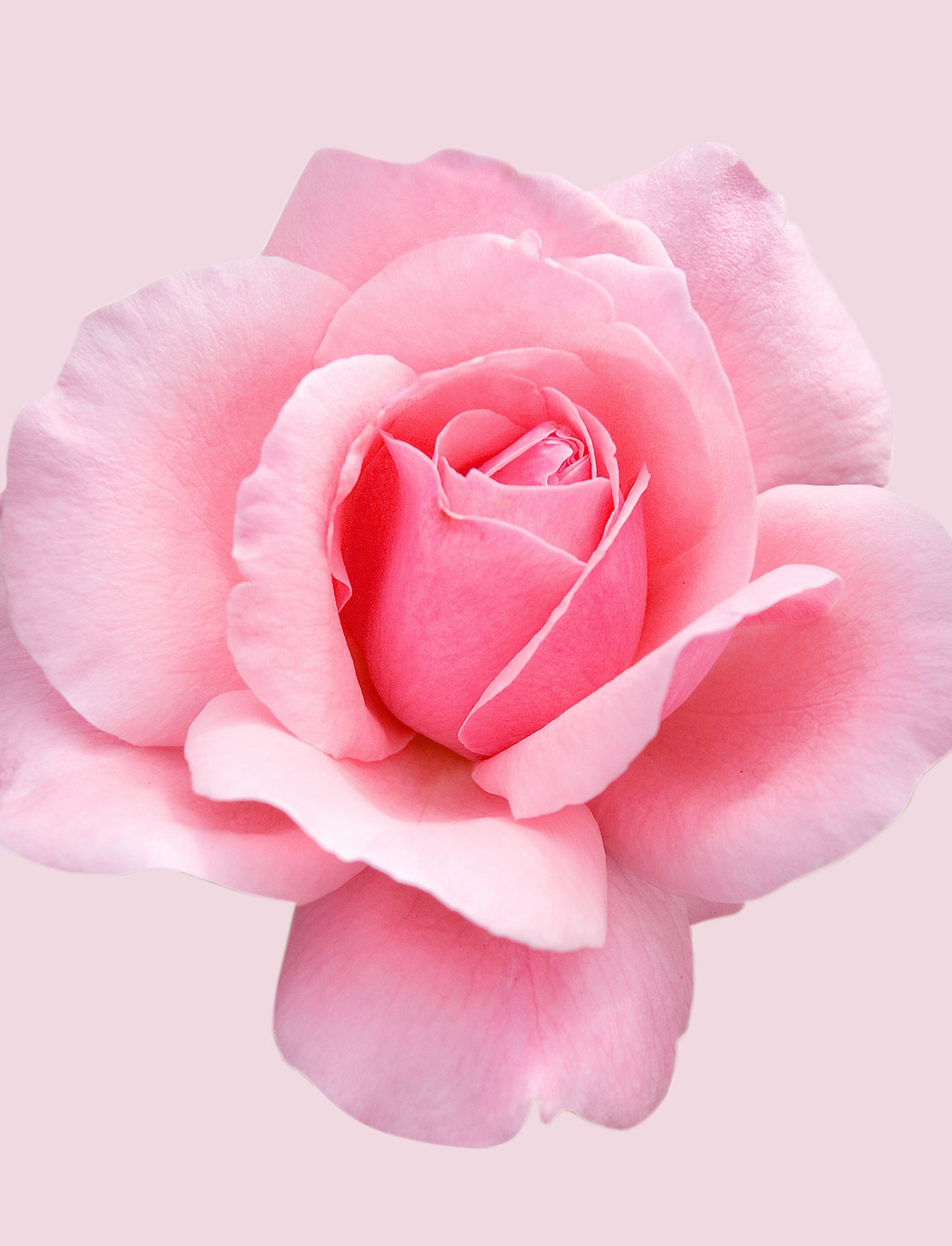 Hugo Boss - MA VIE EAU DE PARFUM - til hende  - clear - 5