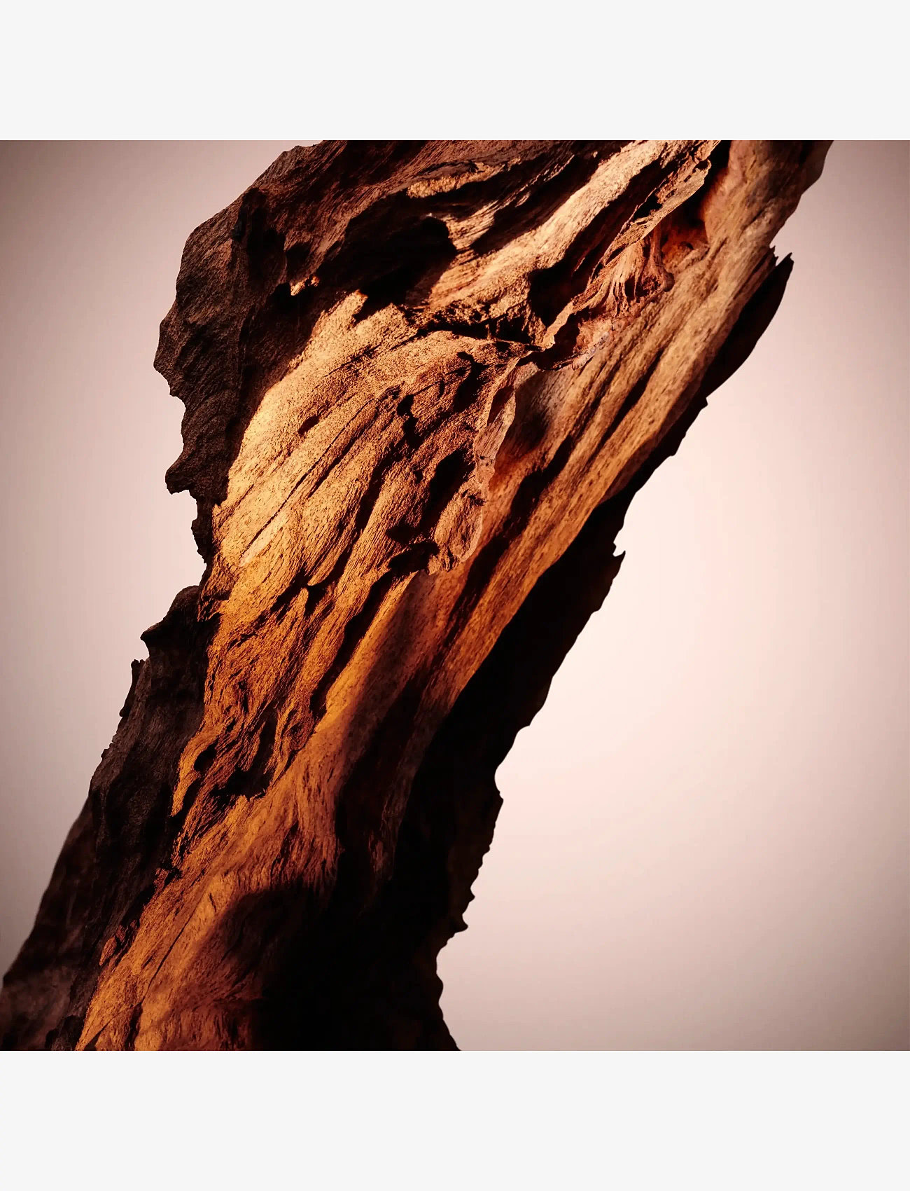 Hugo Boss - The Scent for Her Le Parfum Eau de parfum 50.00 ML - parfum - clear - 3