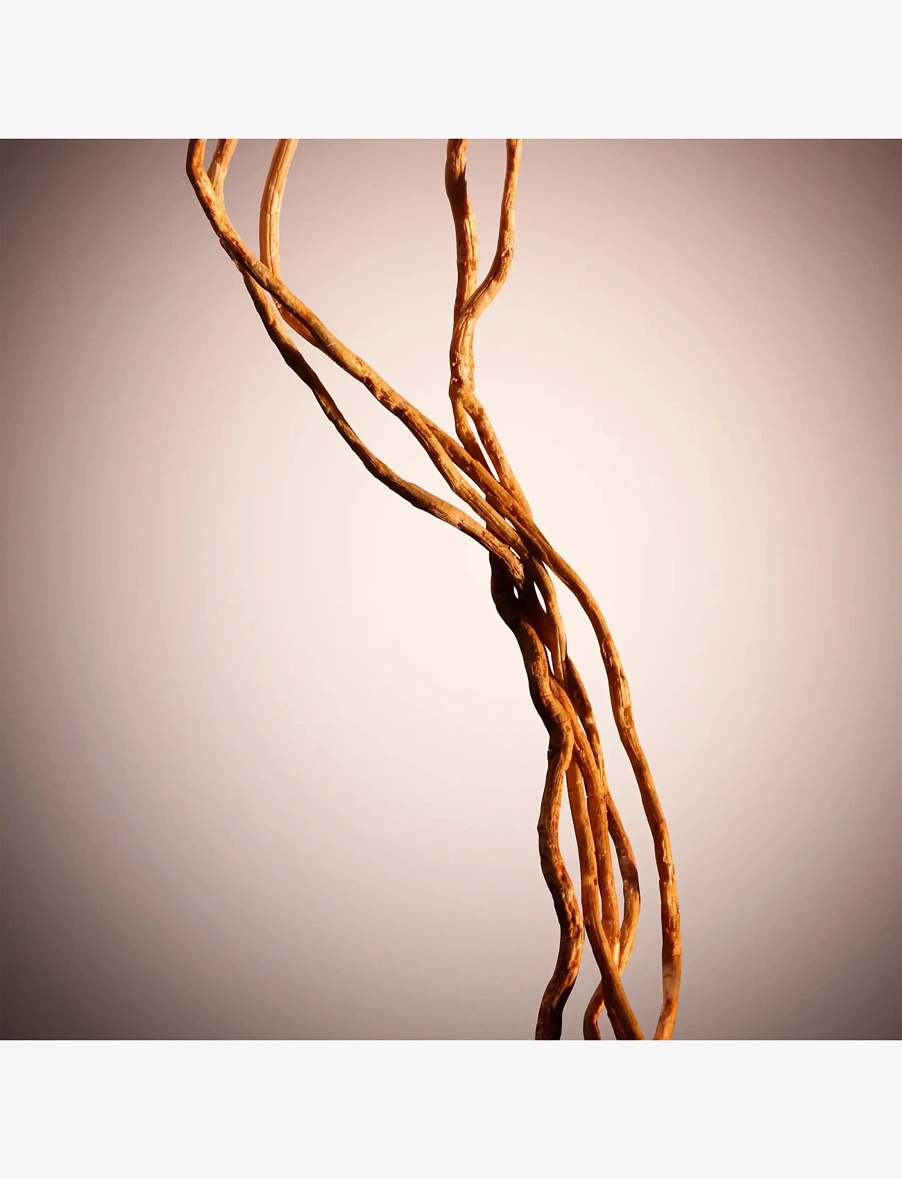 Hugo Boss - The Scent for Her Le Parfum Eau de parfum 50.00 ML - parfum - clear - 4