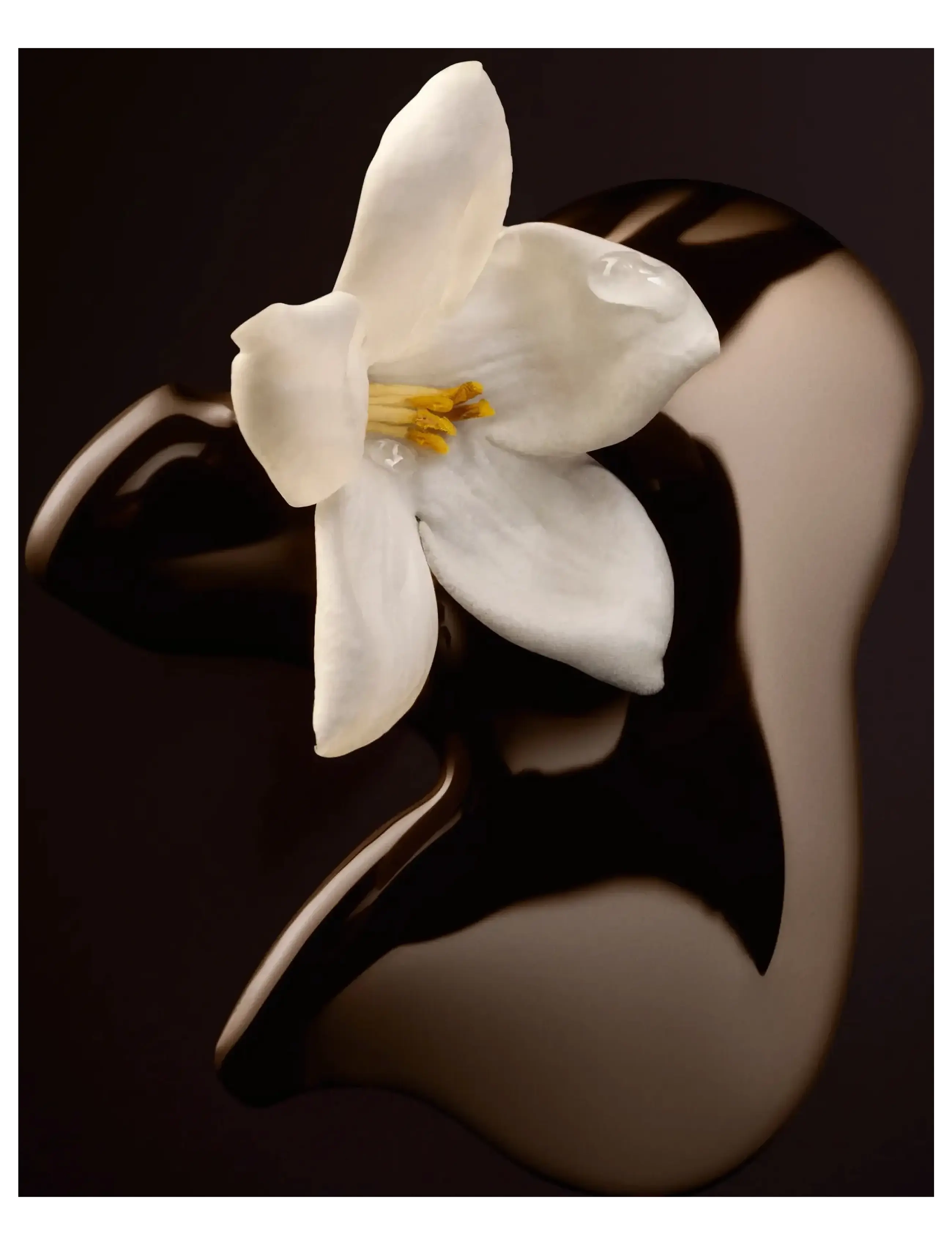 The Scent For Her Magnetic Eau De Parfum 6