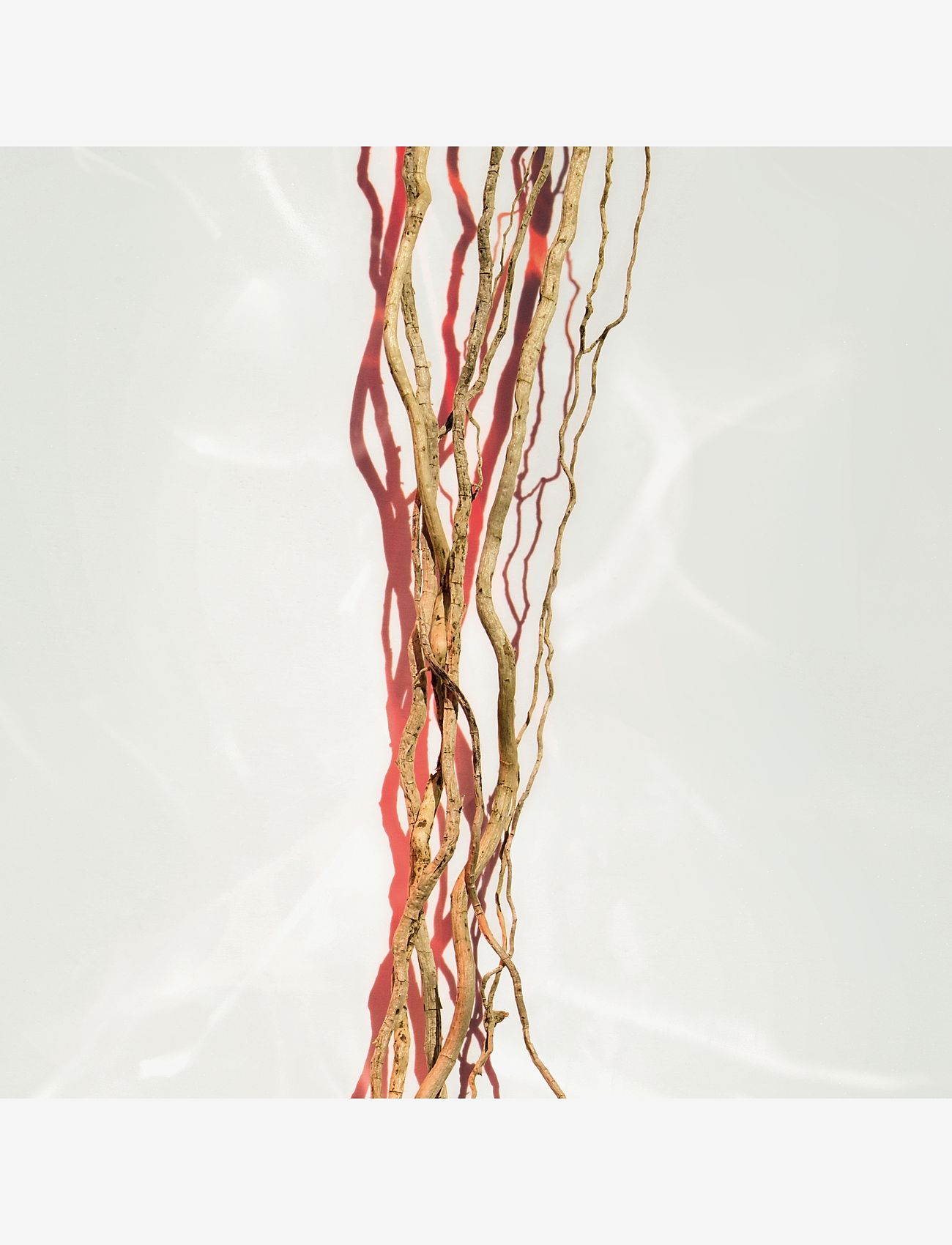 Hugo Boss - HUGO BOSS Alive Parfum Eau de parfum 50 ML - rejsestørrelser & kits  - clear - 5