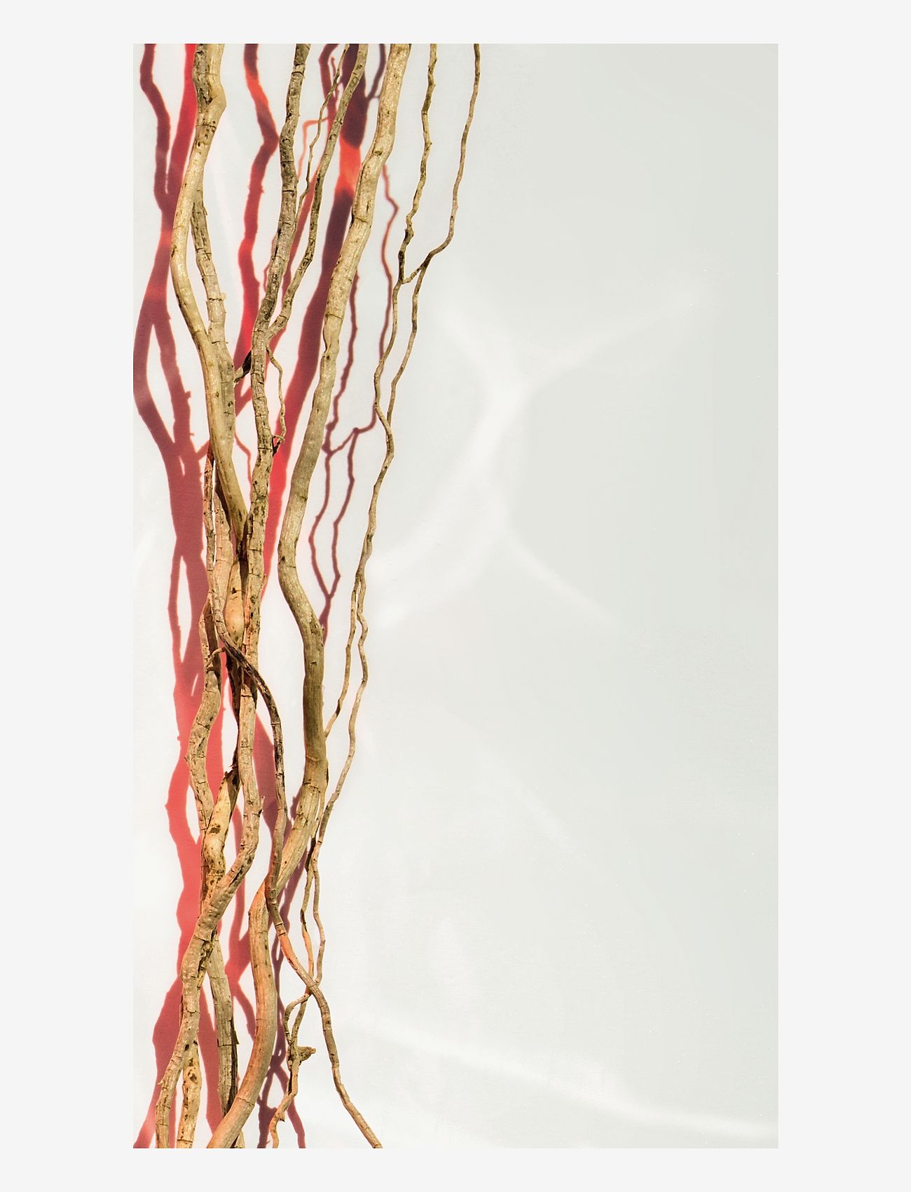 Hugo Boss - HUGO BOSS Alive Parfum Eau de parfum 30 ML - rejsestørrelser & kits  - clear - 5