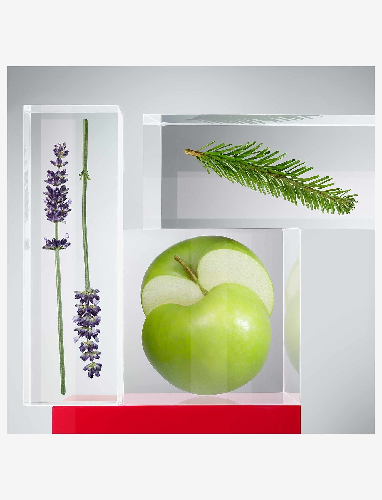 Hugo Boss - HUGO BOSS HUGO MAN DEODORANT STICK - deostifter - clear - 2