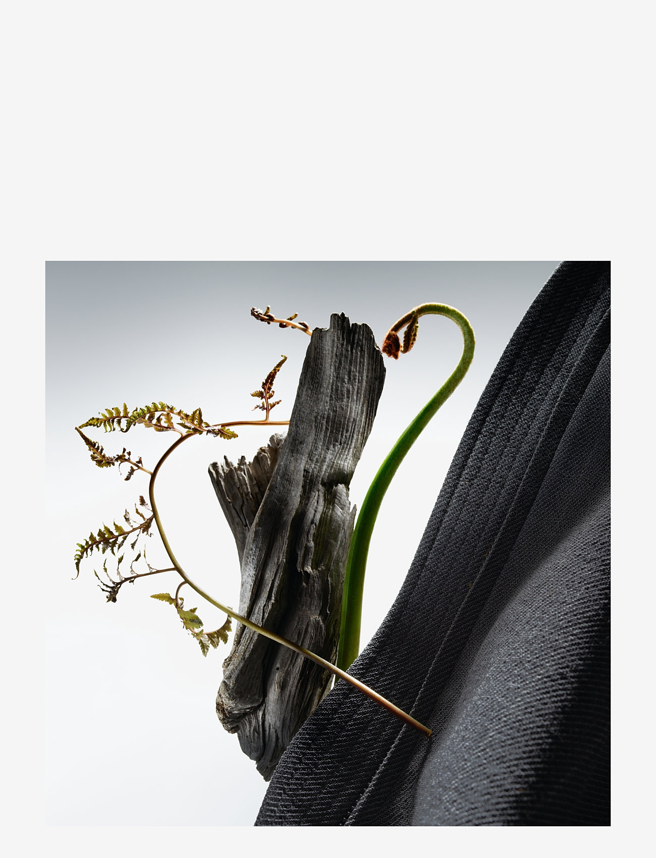 Hugo Boss - BOSS COLLECTION WOOL MUSKEAU DE TOILETTE - til ham  - clear - 4