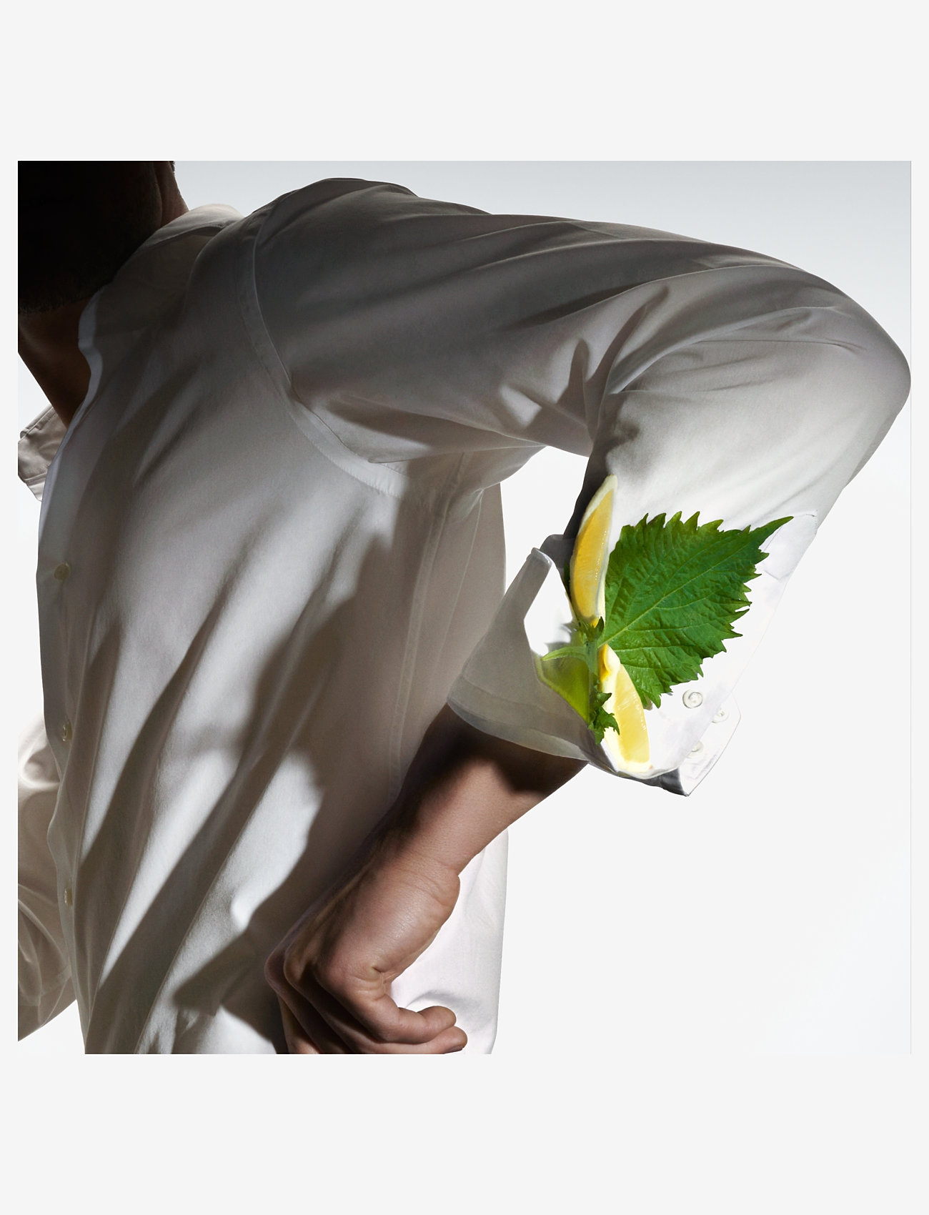 Hugo Boss - BOSS COLLECTION WOOL MUSKEAU DE TOILETTE - till honom  - clear - 3