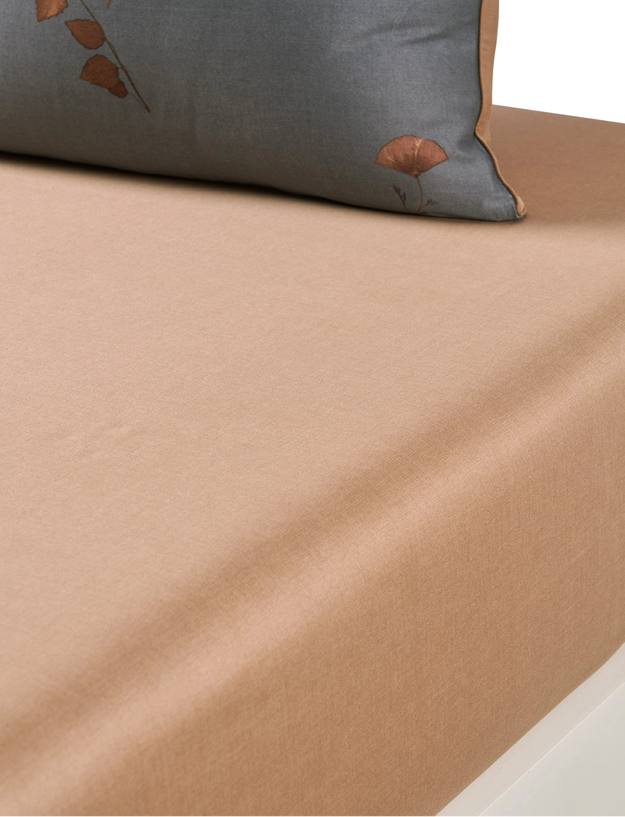 Boss Home MIDNIGHT Fitted sheet - Deals - MULTICOLOR / brown