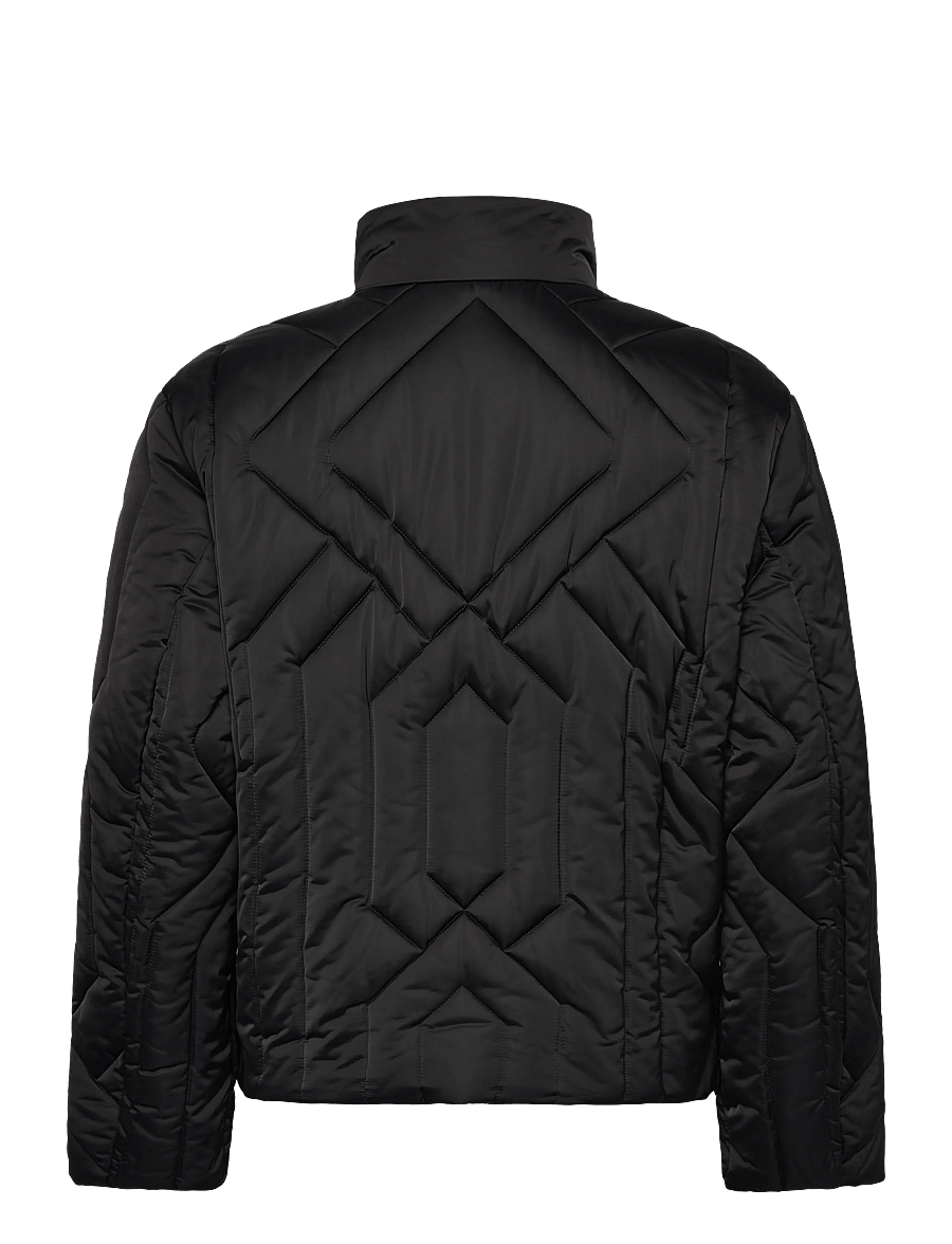 HUGO - Barino2541 - daunenjacken - black - 1