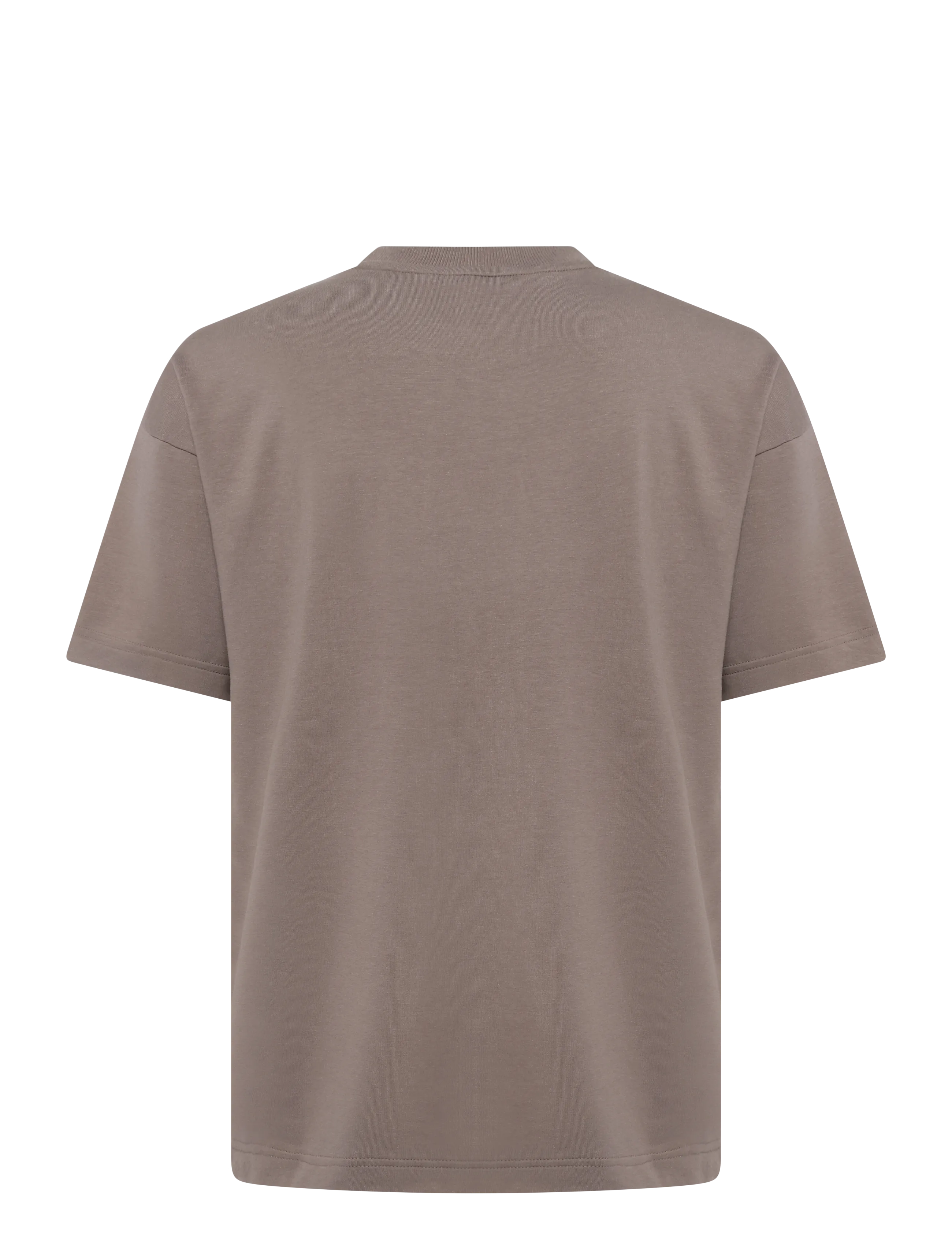 HUGO - NOAH T-SHIRT - kortærmede t-shirts - rust/copper - 1