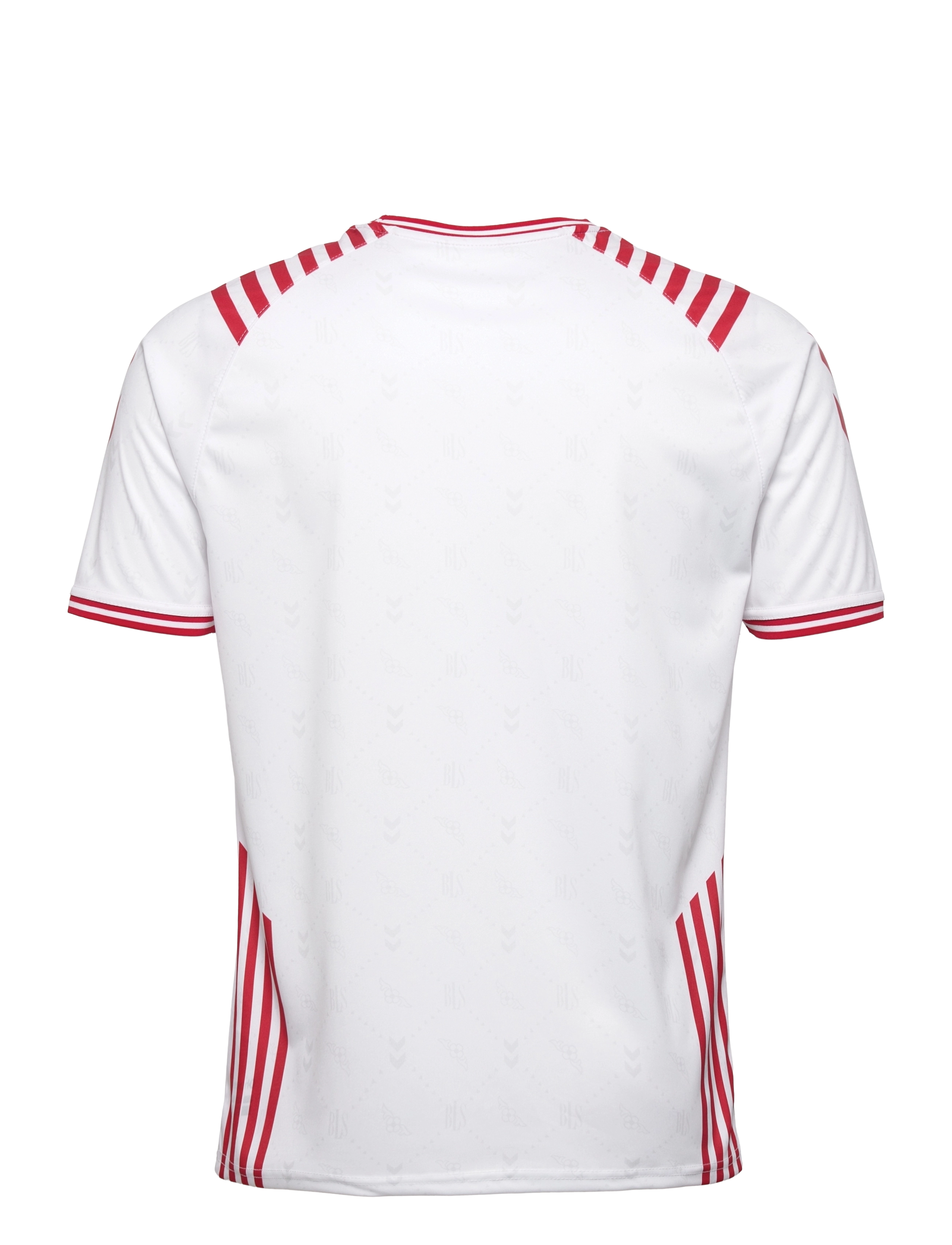 Hummel - DBU-BLS 22 JERSEY S/S - white - 1