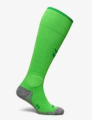 Hummel - DBU 22 FOOTBALL SOCK - shoes - classic green - 1