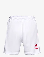 Hummel - DBU 23 HOME SHORTS KIDS - sport-shorts - white/tango red - 1