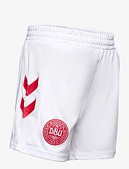 Hummel - DBU 23 HOME SHORTS KIDS - sport shorts - white/tango red - 3