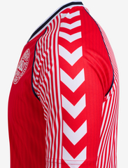 Hummel - DBU 86 REPLICA JERSEY S/S - clothes - red/white - 6