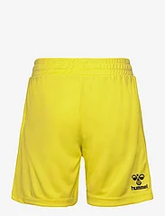 Hummel - DBU 24 GK SHORTS KIDS - sport-shorts - blazing yellow - 1