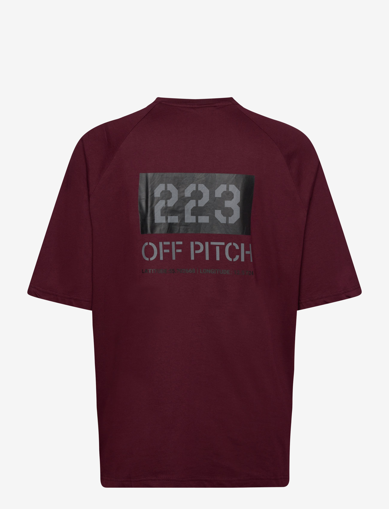 Hummel - HALO DBU BOXY T-SHIRT - oberteile & t-shirts - port royale - 1