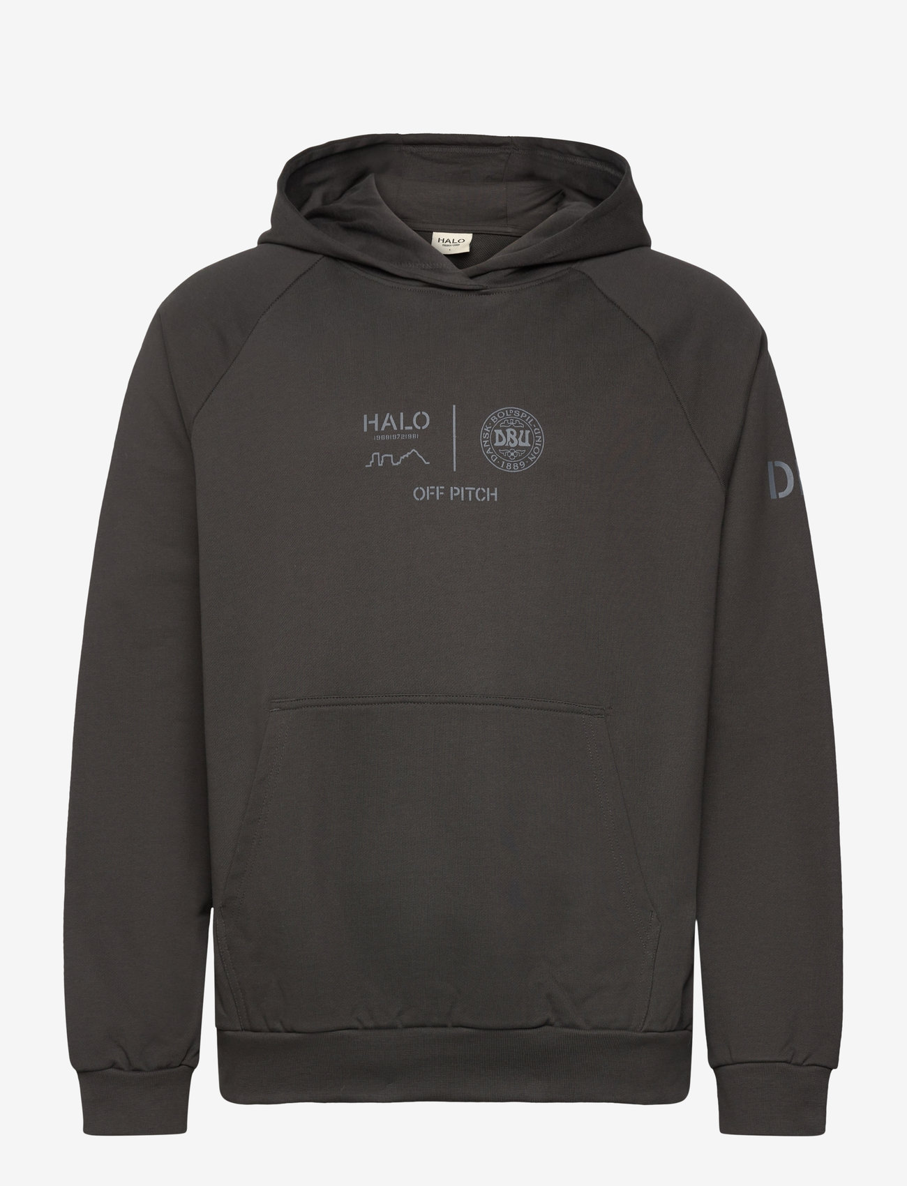 Hummel - HALO DBU GRAPHIC HOODIE - oberteile - raven - 0