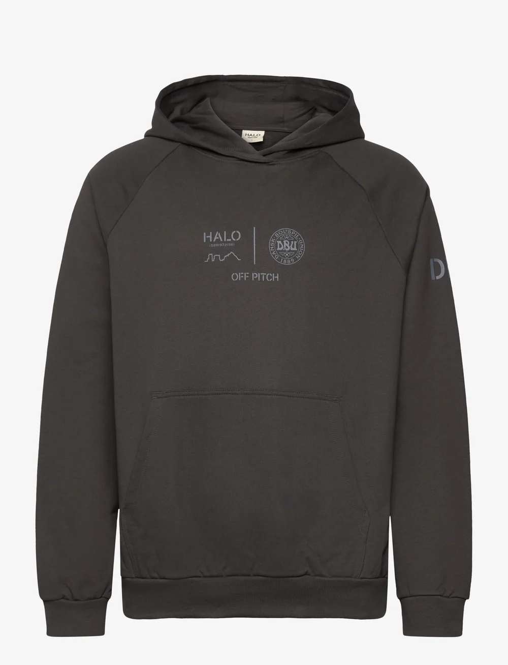 Hummel - HALO DBU GRAPHIC HOODIE - huvtröjor - raven - 0
