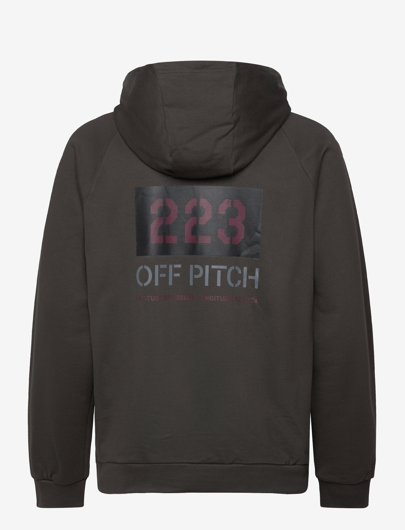 Hummel - HALO DBU GRAPHIC HOODIE - oberteile - raven - 1