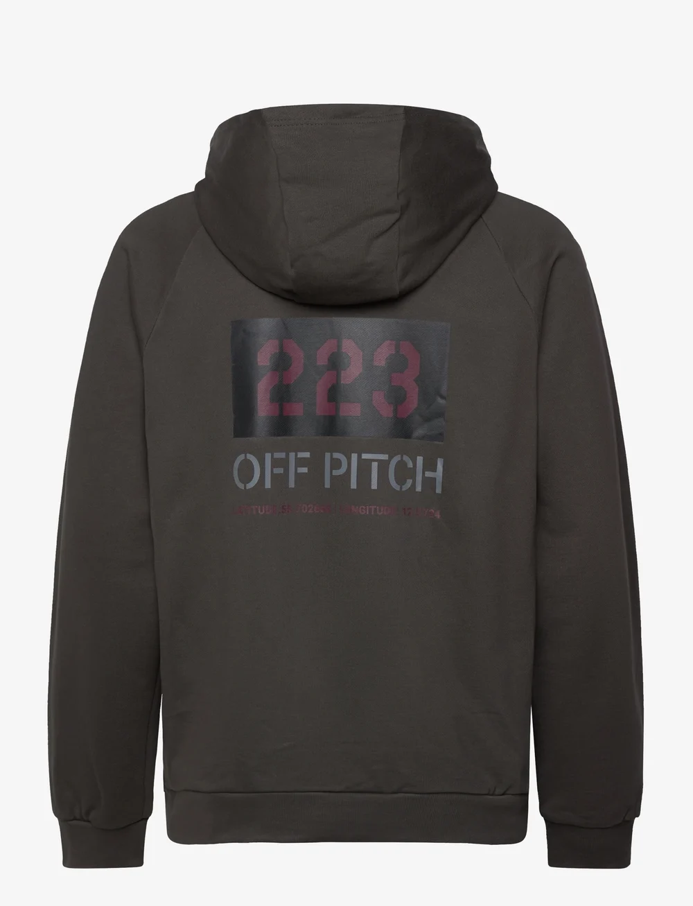 Hummel - HALO DBU GRAPHIC HOODIE - huvtröjor - raven - 1