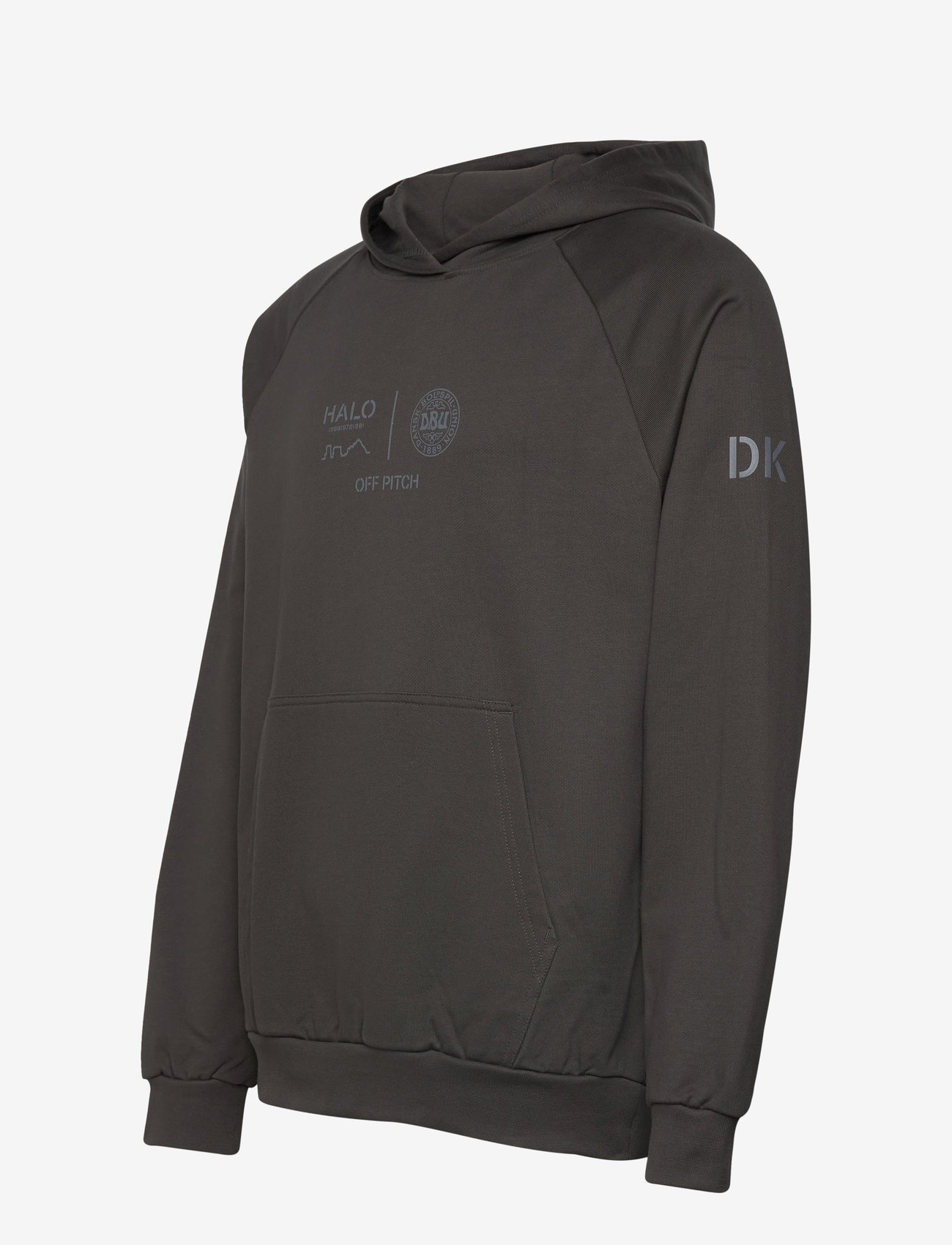Hummel - HALO DBU GRAPHIC HOODIE - oberteile - raven - 2