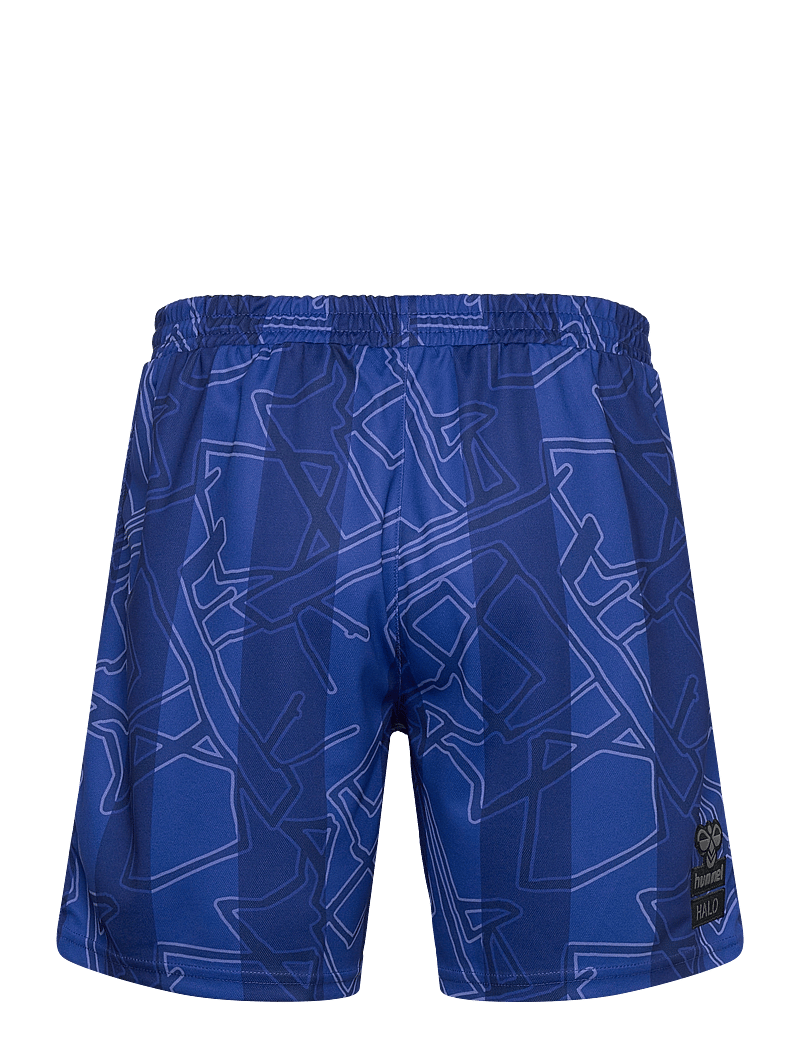 Hummel - DBU-HALO 24 GK SHORTS - lühikesed treeningpüksid - clematis blue - 1