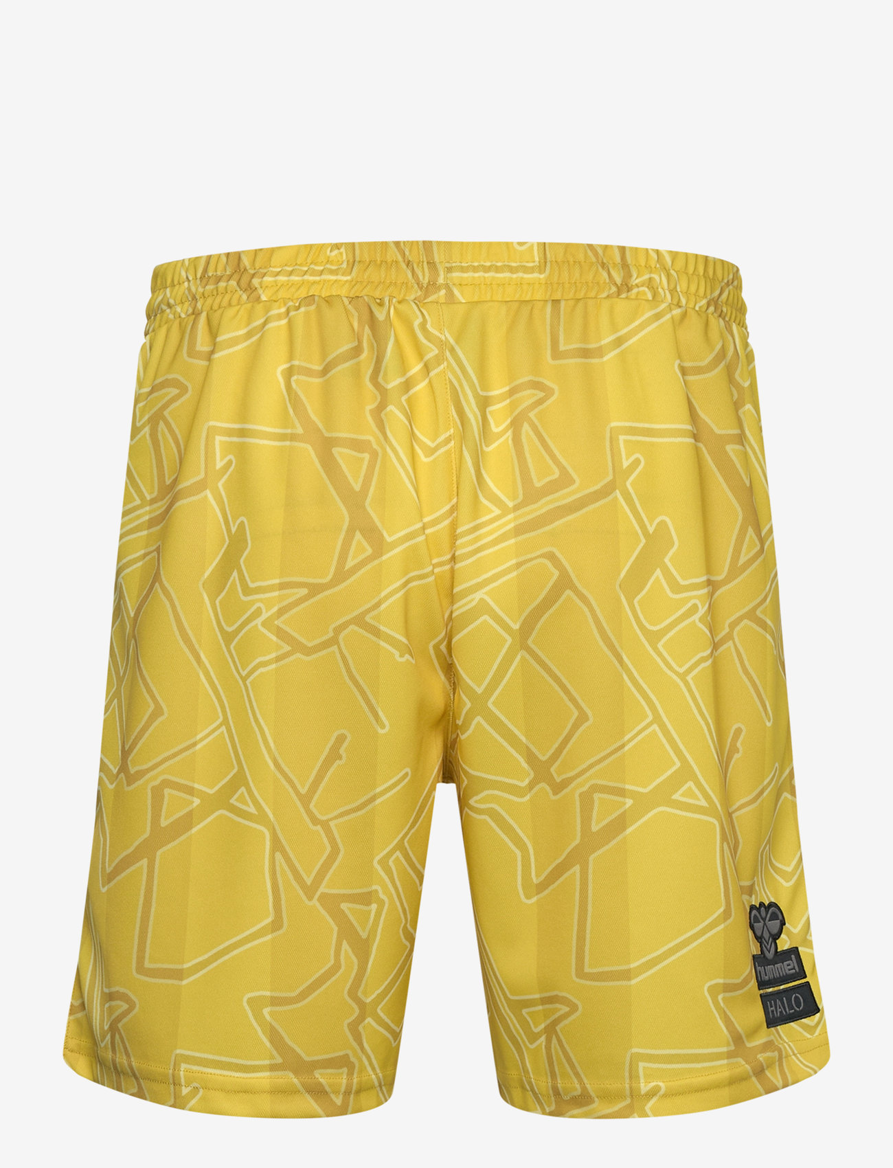 Hummel - DBU-HALO 24 GK SHORTS - trainingsshorts - warm olive - 1