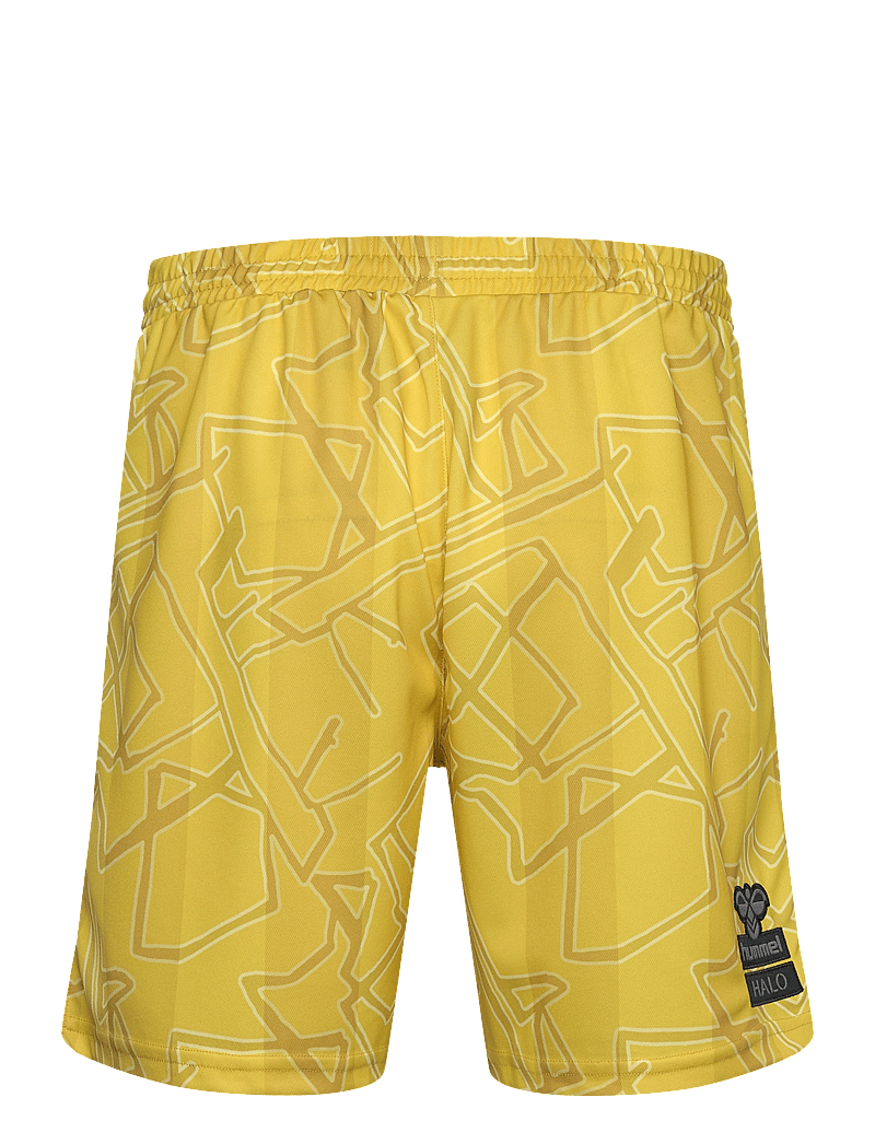 Hummel - DBU-HALO 24 GK SHORTS - trainingsshorts - warm olive - 1