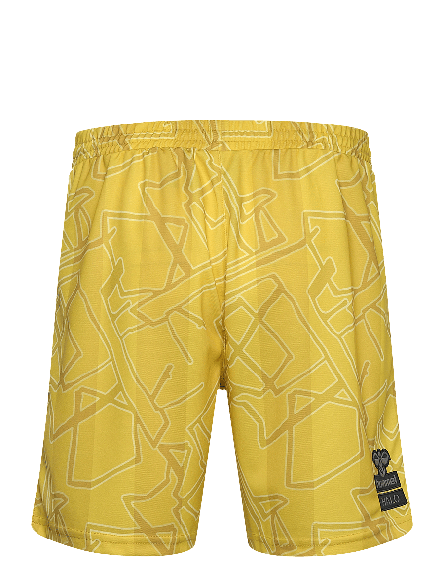 Hummel - DBU-HALO 24 GK SHORTS - træningsshorts - warm olive - 1