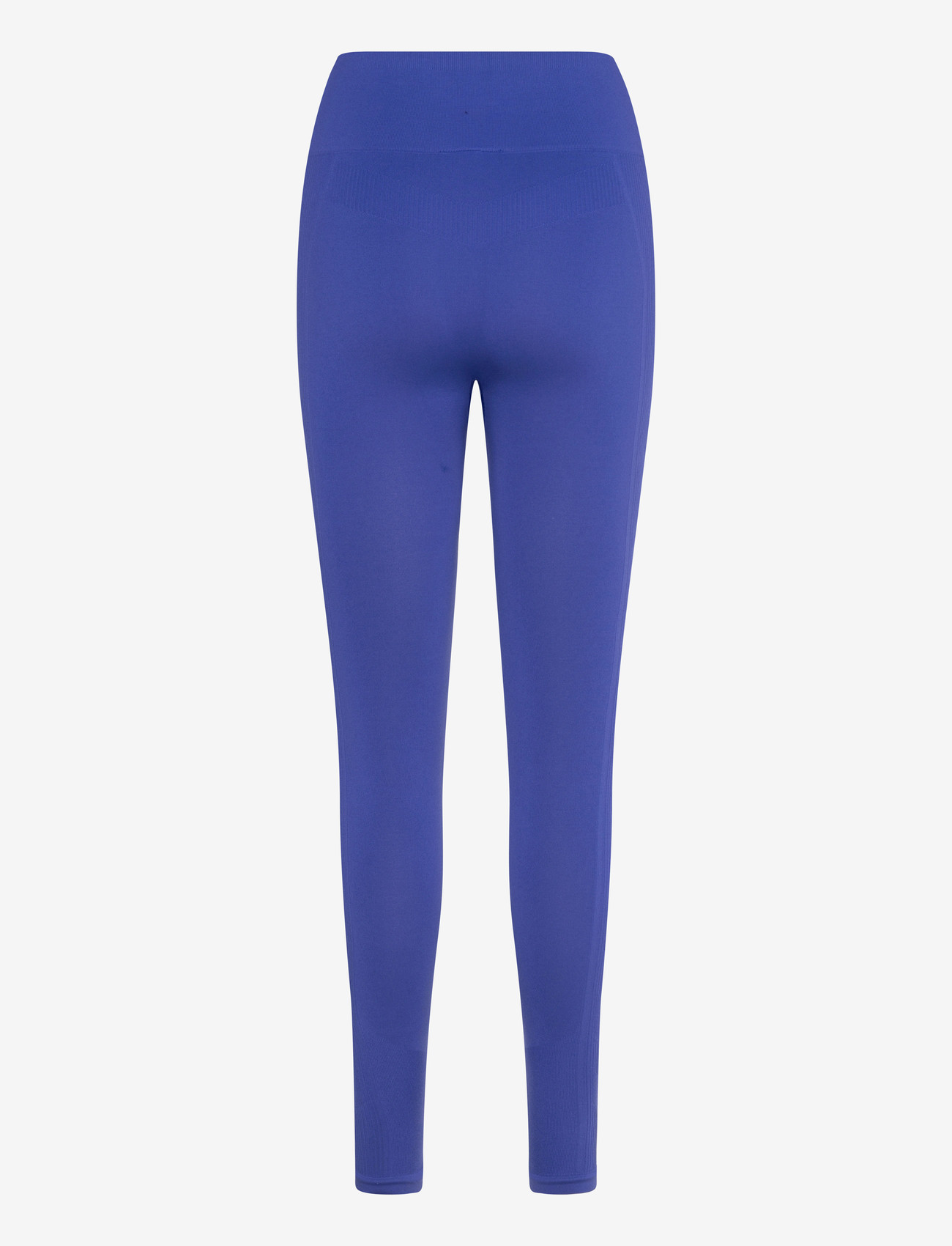 Hummel - hmlTIF SEAMLESS HIGH WAIST TIGHTS - fuld længde - surf the web - 1