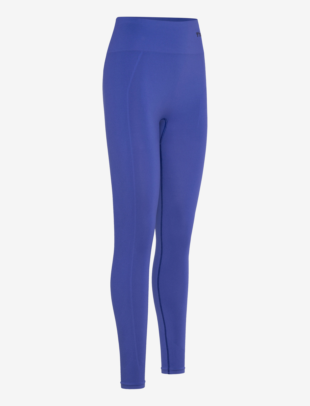 Hummel - hmlTIF SEAMLESS HIGH WAIST TIGHTS - fuld længde - surf the web - 2