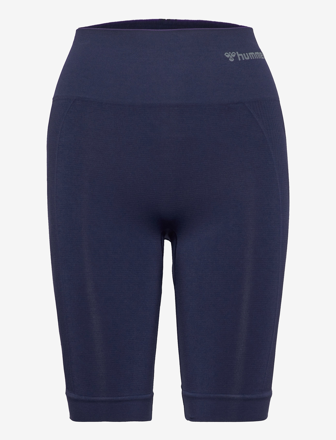 Hummel - hmlTIF SEAMLESS CYLING SHORTS - dviratininko šortukai - black iris - 1