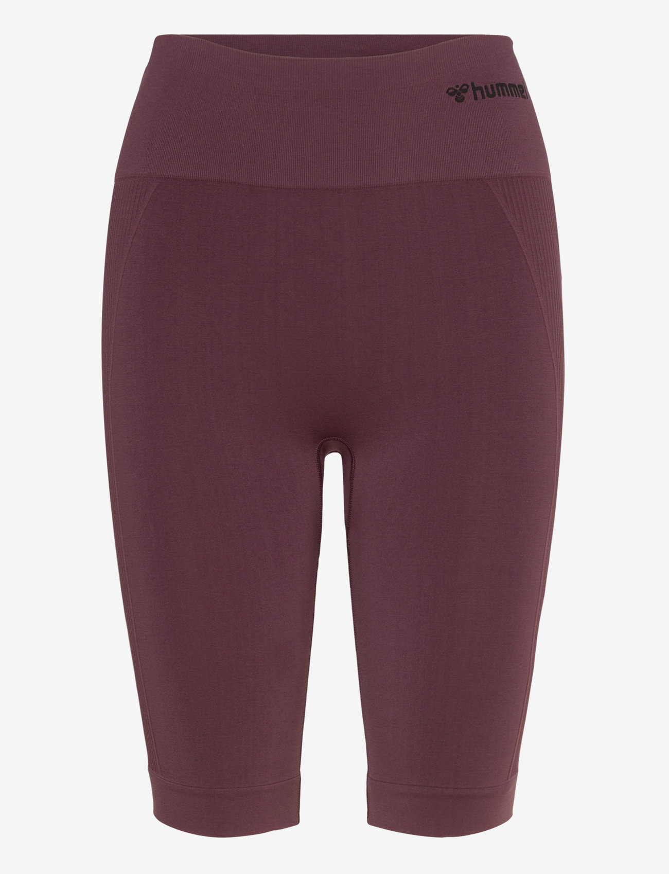 Hummel - hmlTIF SEAMLESS CYLING SHORTS - trainingstights - fudge - 0