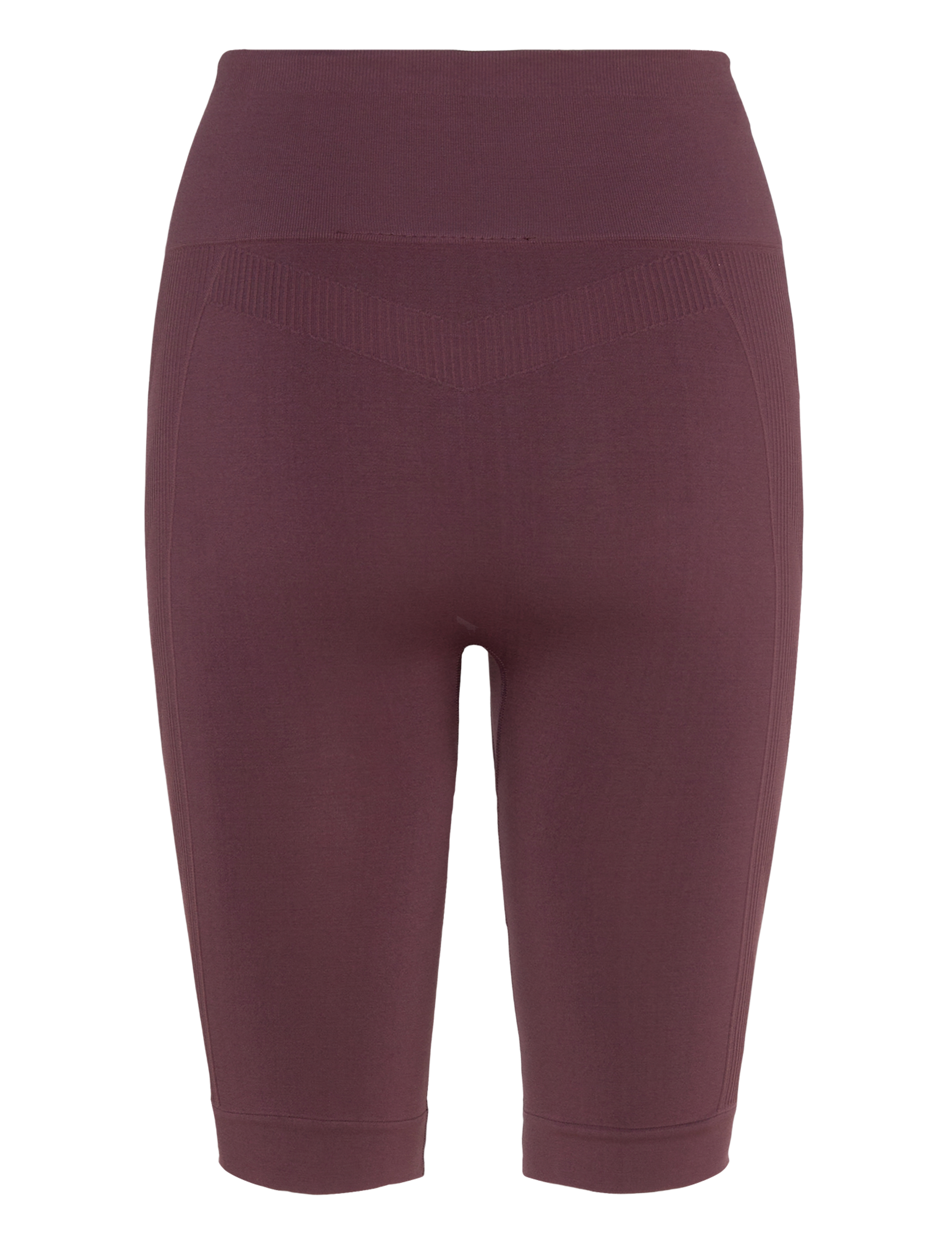 Hummel - hmlTIF SEAMLESS CYLING SHORTS - shorts - fudge - 1