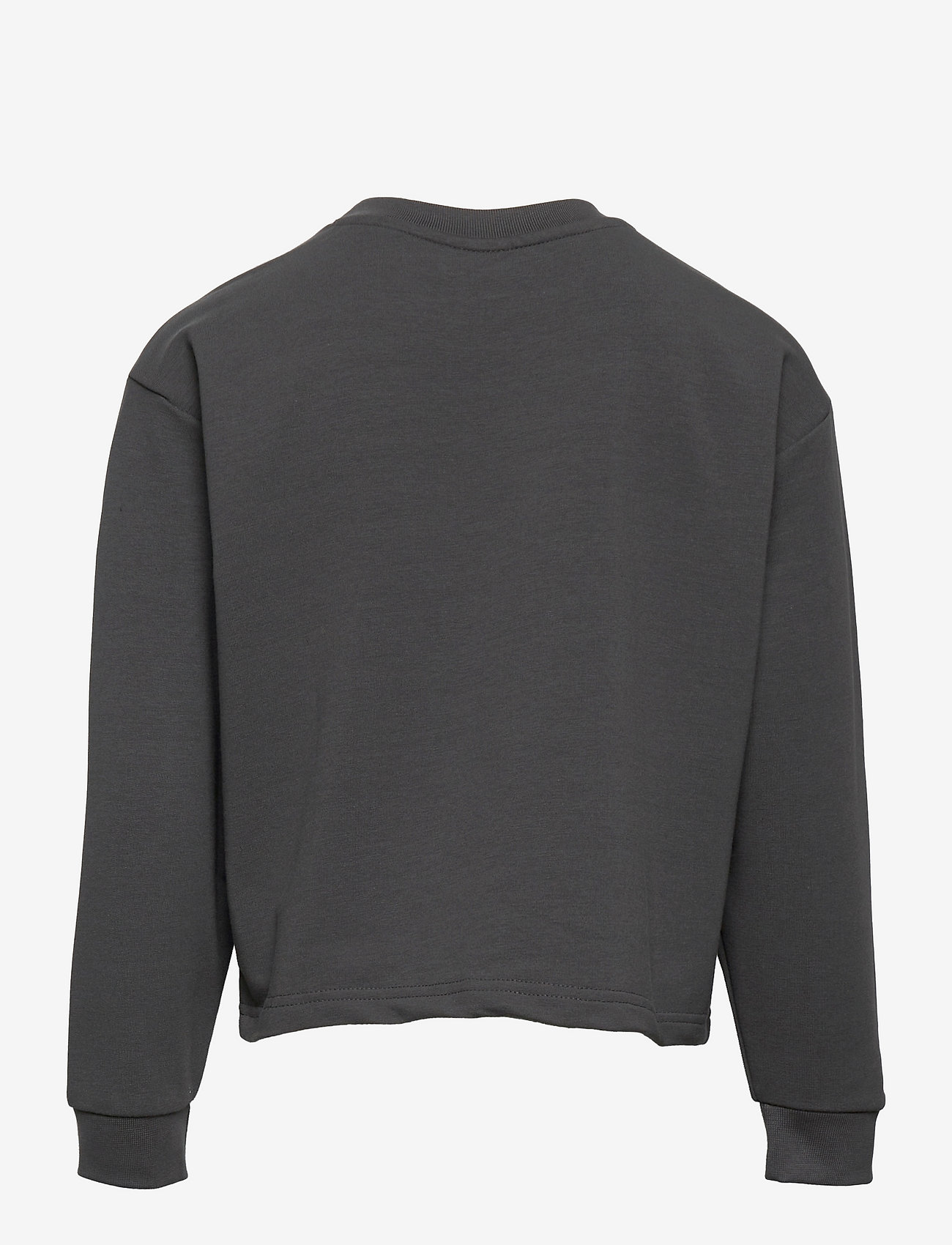 Hummel - hmlCINCO SWEATSHIRT - swetry - iron gate - 1