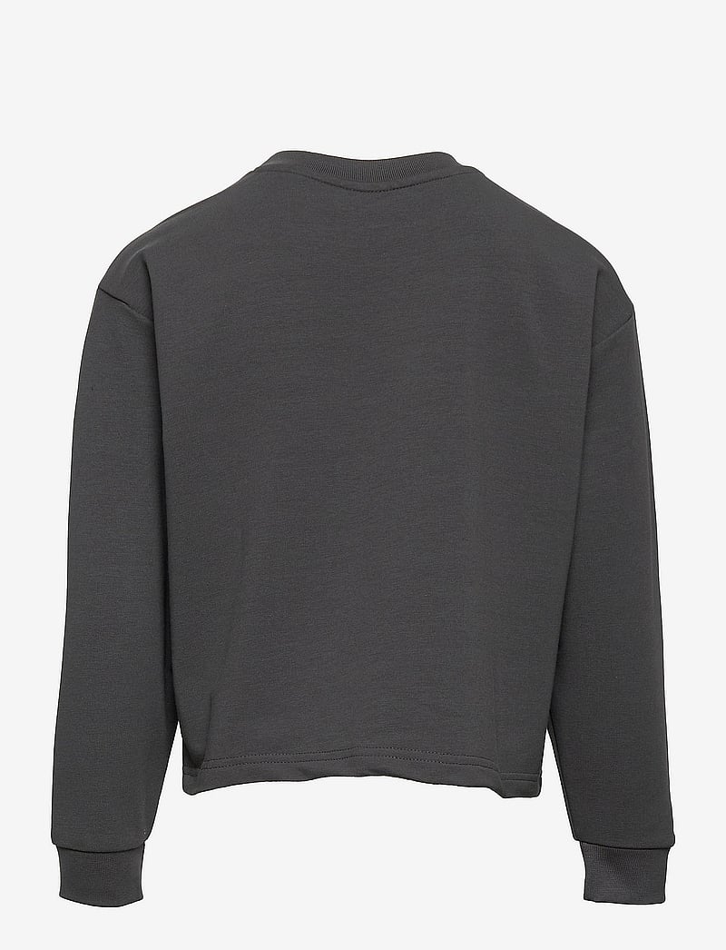 Hummel - hmlCINCO SWEATSHIRT - dressipluusid - iron gate - 1