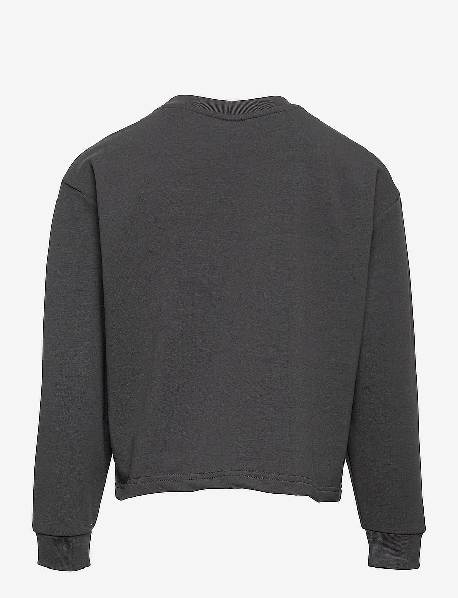 Hummel - hmlCINCO SWEATSHIRT - swetry - iron gate - 1