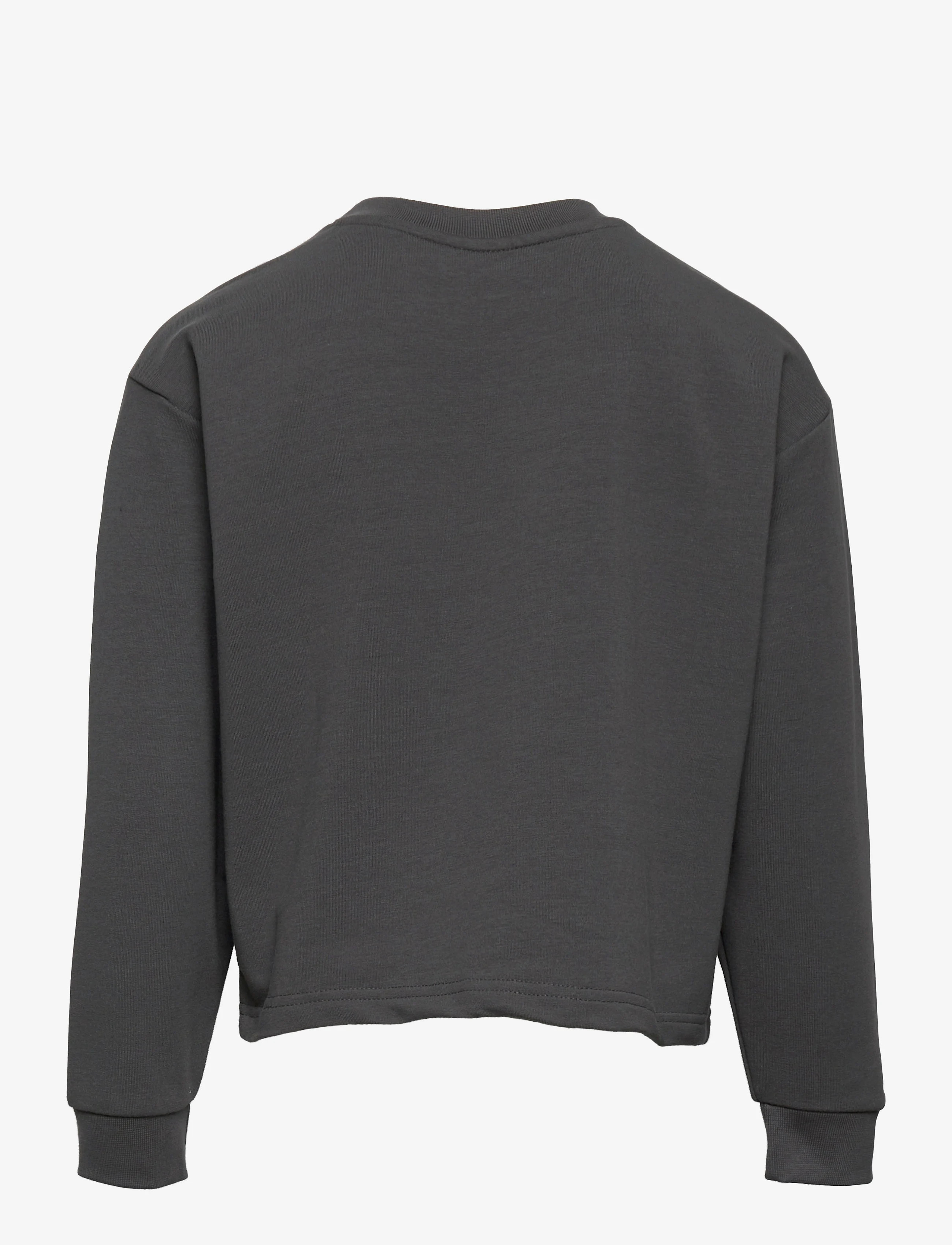 Hummel - hmlCINCO SWEATSHIRT - sweatshirts - iron gate - 1