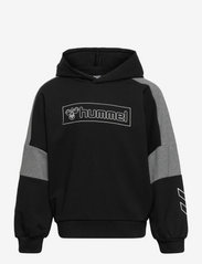 Hummel - hmlBOXLINE HOODIE - sweatshirts & hættetrøjer - black - 0