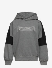 Hummel - hmlBOXLINE HOODIE - hoodies - medium melange - 0