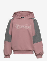 Hummel - hmlBOXLINE HOODIE - sweatshirts & hoodies - woodrose - 0