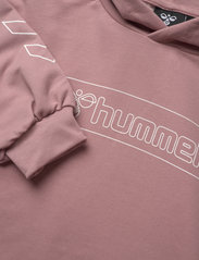 Hummel - hmlBOXLINE HOODIE - medvilniniai megztiniai ir džemperiai su gobtuvu - woodrose - 2