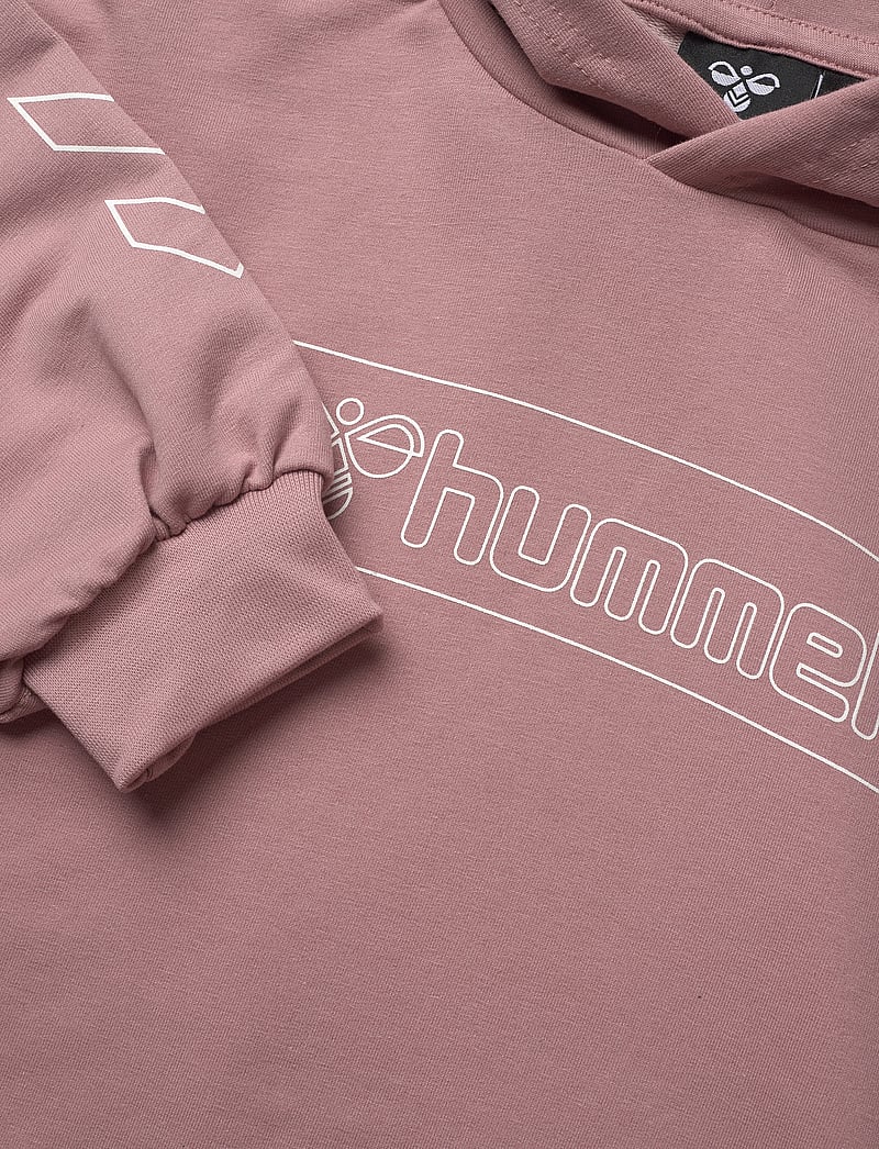 Hummel - hmlBOXLINE HOODIE - hættetrøjer - woodrose - 2
