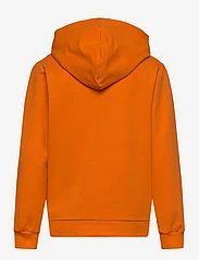 Hummel - hmlCUATRO HOODIE - sweatshirts & hoodies - persimmon orange - 1