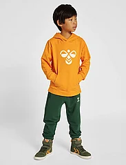 Hummel - hmlCUATRO HOODIE - sweatshirts & hoodies - persimmon orange - 4