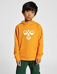 Hummel - hmlCUATRO HOODIE - sweatshirts & hættetrøjer - persimmon orange - 5