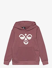 Hummel - hmlCUATRO HOODIE - sweatshirts & hoodies - rose brown - 0