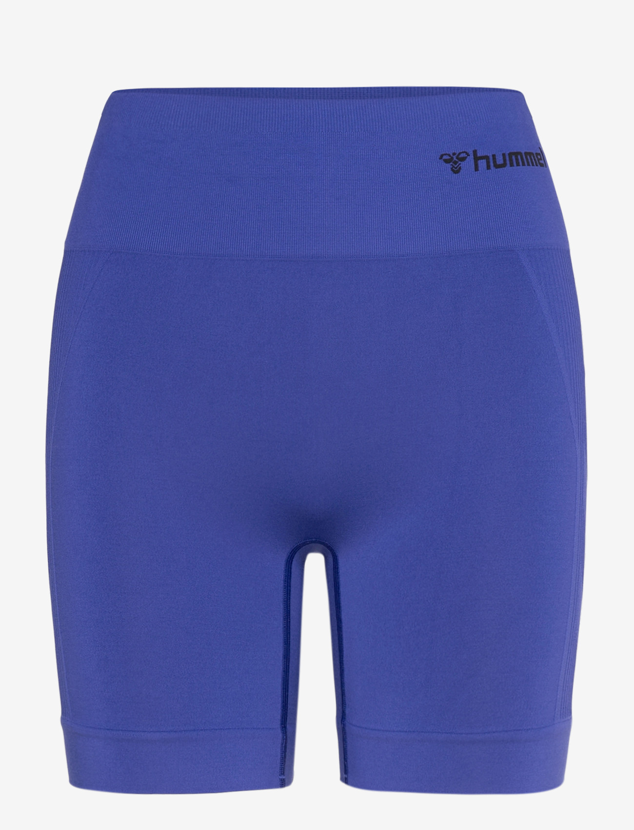 Hummel - hmlTIF SEAMLESS SHORTS - korta tights - surf the web - 0