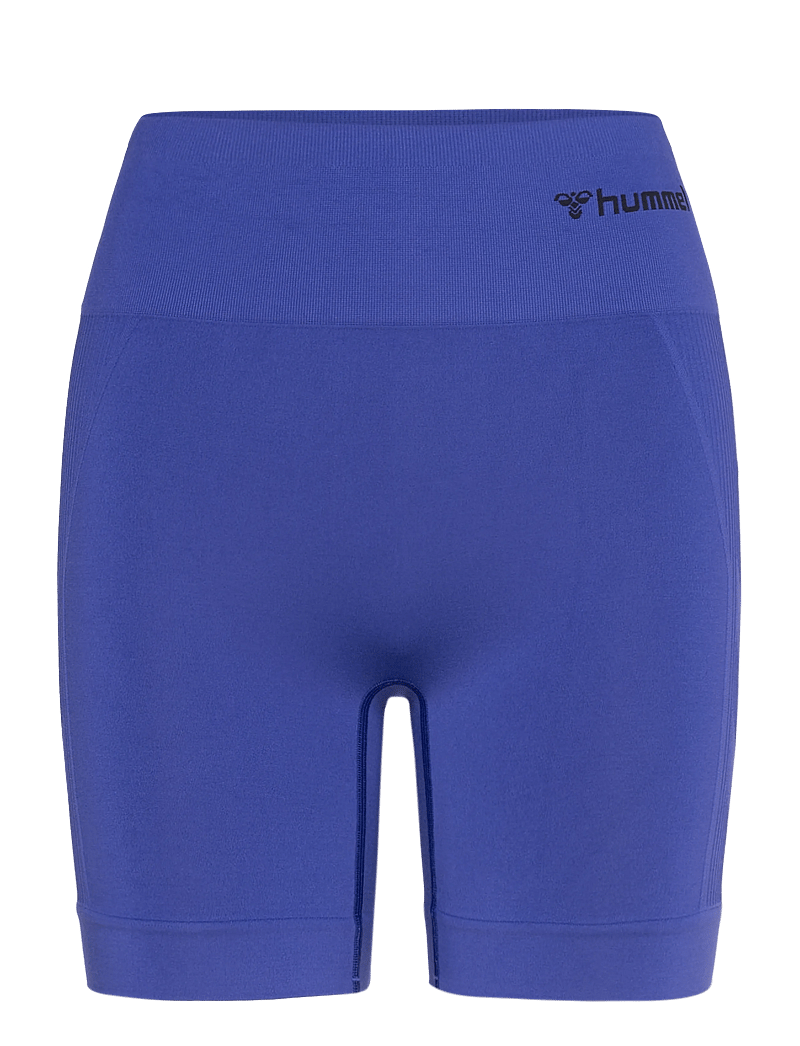 Hummel - hmlTIF SEAMLESS SHORTS - korta tights - surf the web - 0