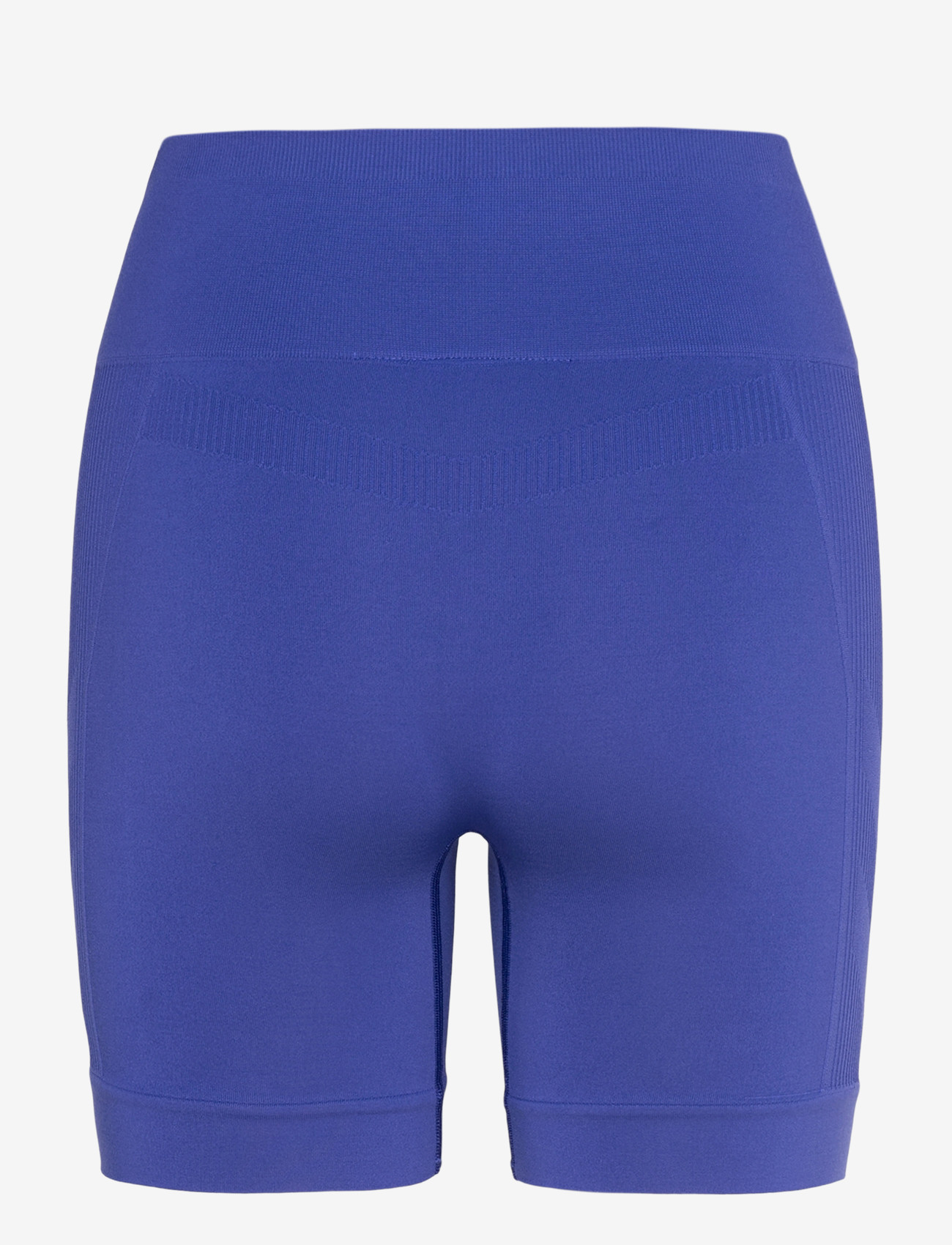 Hummel - hmlTIF SEAMLESS SHORTS - korta tights - surf the web - 1