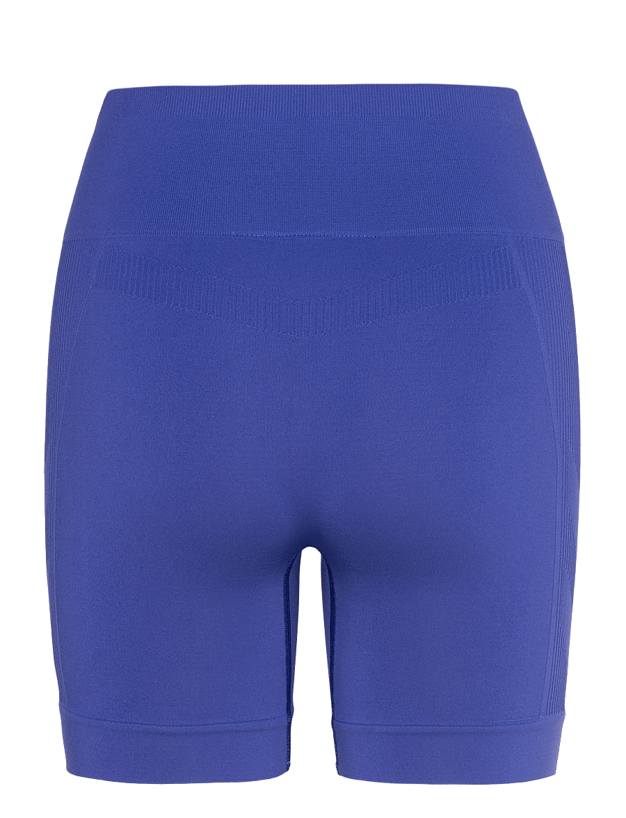 Hummel - hmlTIF SEAMLESS SHORTS - shorts - surf the web - 1